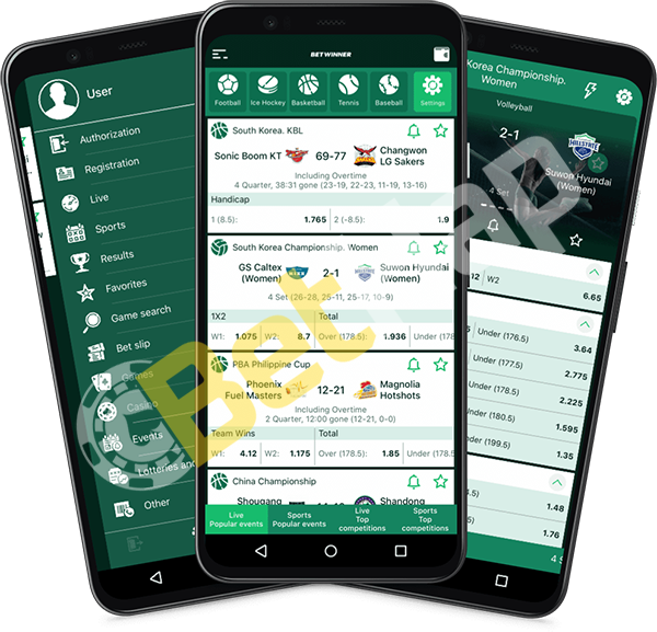Comment vérifier un coupon Betwinner efficacement Comment vérifier un coupon Betwinner efficacement